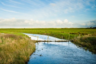 Pork council wants ‘waters of the US’ rule withdrawn