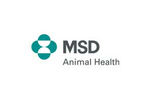 MSD Animal Health gets approval for vaccine against PCV2