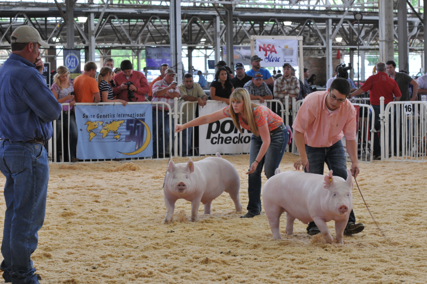 2015 World Pork Expo set for June 3-5