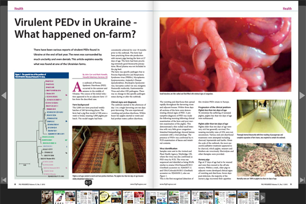 Pig Progress 3: PEDv in Ukraine