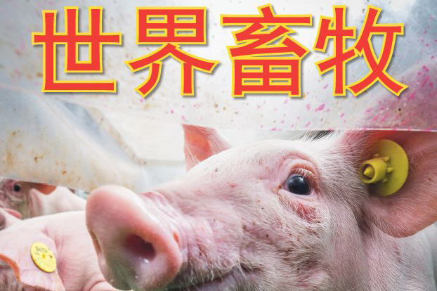 Pig Progress launches second Chinese edition