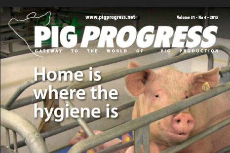 Health issues key in latest issue of Pig Progress