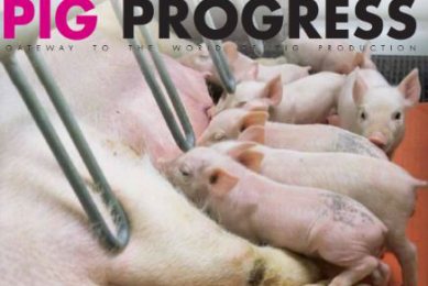 Pig Progress gets modern makeover