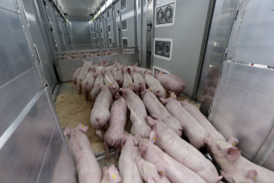 ‘US TPP talks to generate 10,000 pork export jobs’