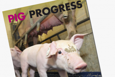 Latest issue: Pig Progress sees sows elevated