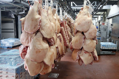 Belarus closes border for pork from Poltava region