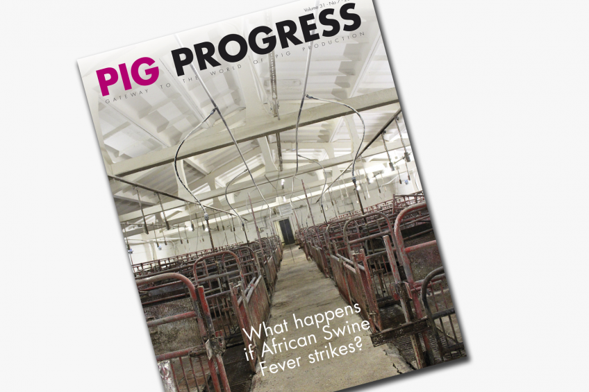 Pig health in the spotlight in new Pig Progress magazine