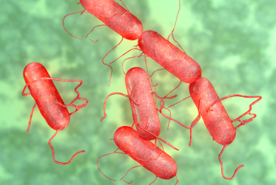 Salmonella is one of the most frequent food-borne diseases. [Photo: Shutterstock