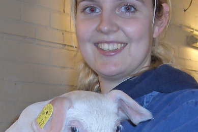 Moniek van den Bosch, Cargill: "Piglets will suckle at the sow and then take milk replacer immediately afterwards."