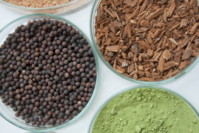 The benefits of phytogenic feed additives