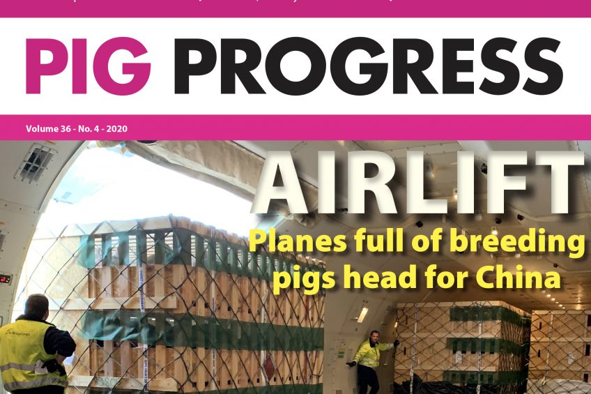 Corona and China in Pig Progress 4