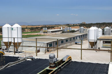 A Spanish pig farm in the municipality of Lleida, Catalonia, in North Eastern Spain. Expansion is no longer an option in that area. - Photos: Ronald Hissink