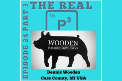 Podcast on pig breeding and sow mortality