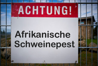 A German sign at a fence to warn for ASF. - Photo: Dreamstime