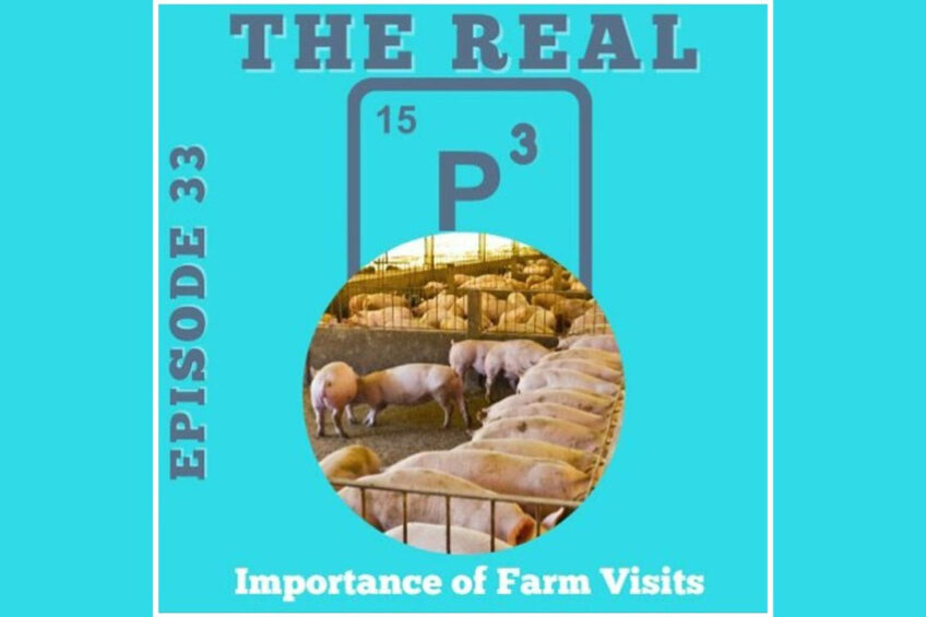 Podcast: The importance of pig farm visits