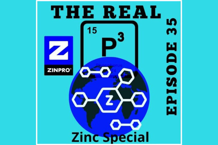 Podcast: Zinc 2021 special   global perspectives