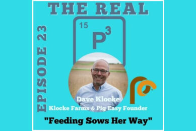 Podcast: Feeding a sow her way