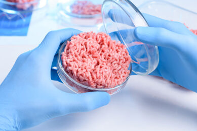 Cultivated meat in a petri dish. Is this (part of) the future for meat consumers? - Photo: Shutterstock