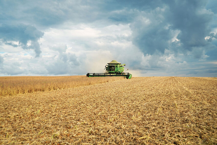 Harvest of soybeans in Rio Grande do Sul state, Brazil. - Photo: Shutterstock