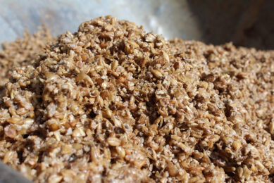 Brewer s spent grain is a highly-palatable, wet, low-cost protein feed ingredient. Photo: Shutterstock