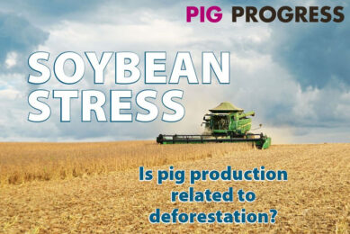 Soybeans, sustainability and stress in Pig Progress 9