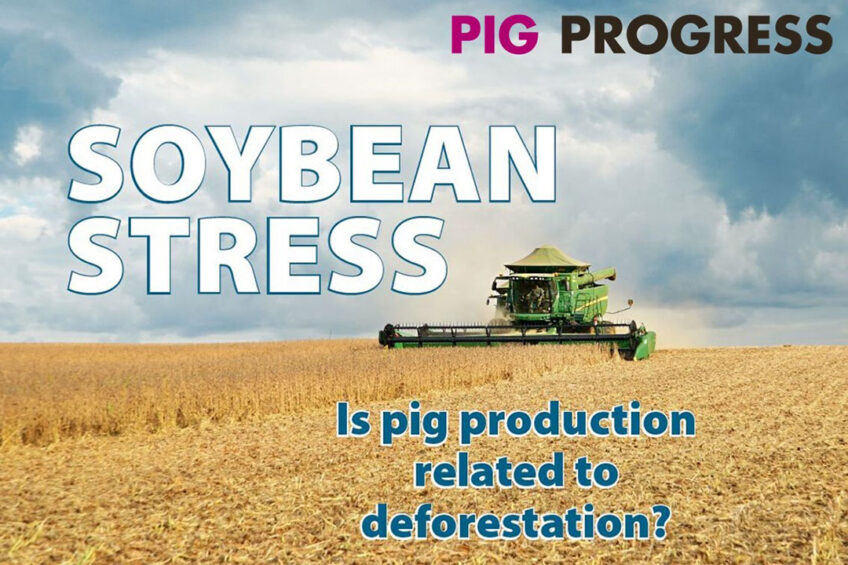 Soybeans, sustainability and stress in Pig Progress 9