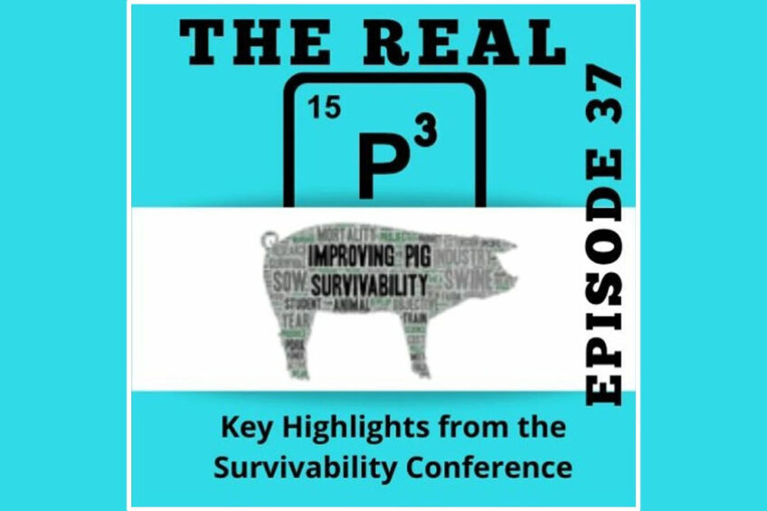 Podcast: Highlights from the pig survivability conference