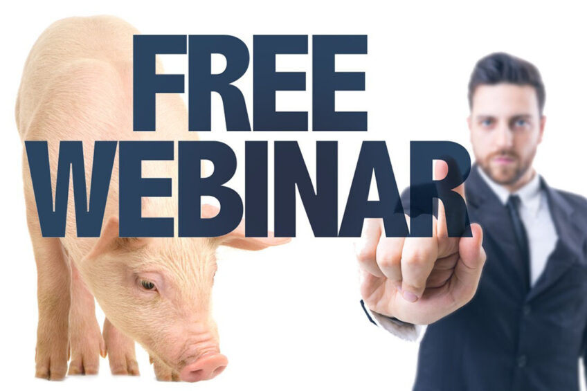Coming soon: Webinar about piglets