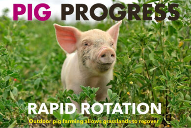 Rotation, ractopamine and retrofitting in Pig Progress 4