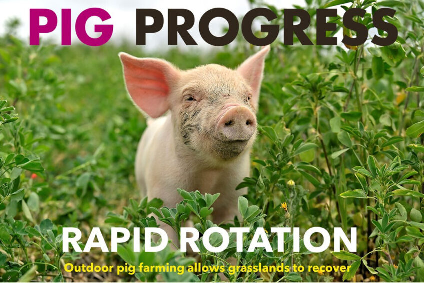 Rotation, ractopamine and retrofitting in Pig Progress 4