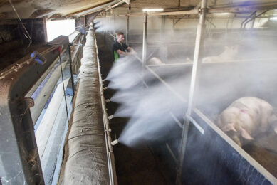 One way of dealing with heat stress: Cooling animals down with nozzles. - Photo: Van Assendelft Fotografie