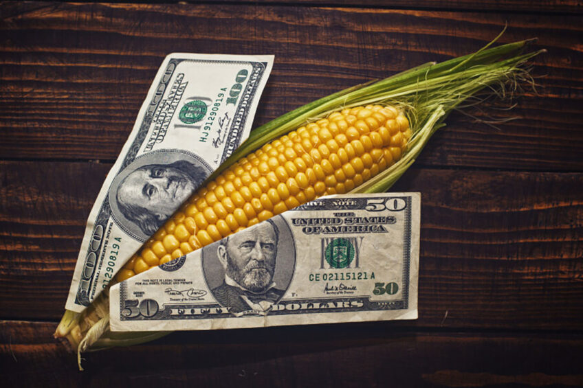 When purchasing corn, pork producers see their money fly away these days. - Photo: Canva