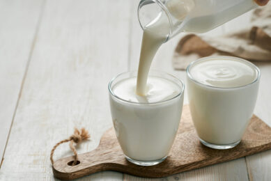 Kefir, a fermented milk product, poured in a glass for human consumption. It may also be a useful additive to diets for weaned piglets. - Photo: Shutterstock