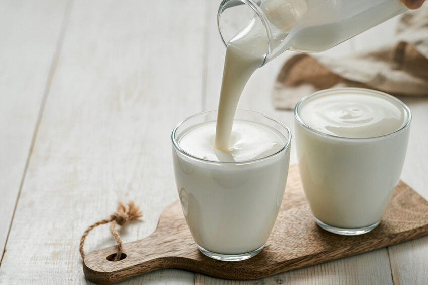 Kefir, a fermented milk product, poured in a glass for human consumption. It may also be a useful additive to diets for weaned piglets. - Photo: Shutterstock