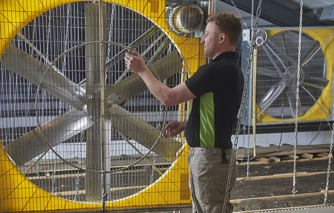 8 Strategies to fight heat stress in pig houses - Pig Progress