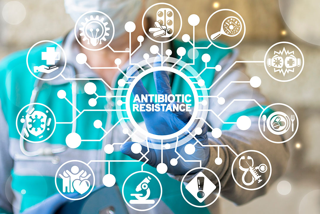 Antibiotic Resistance Articles
