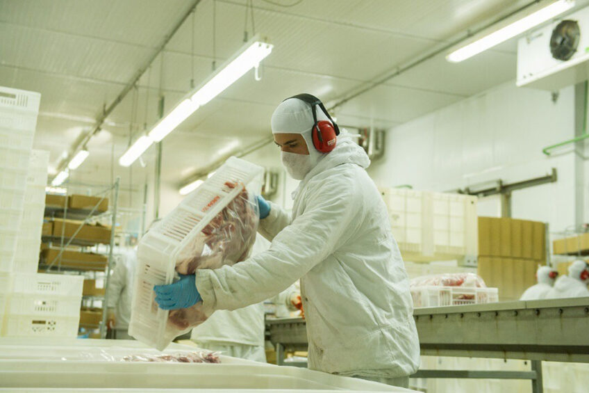 Pork being packed in a Brazilian processing plant for export. - Photo: Manoel Petry, ABPA