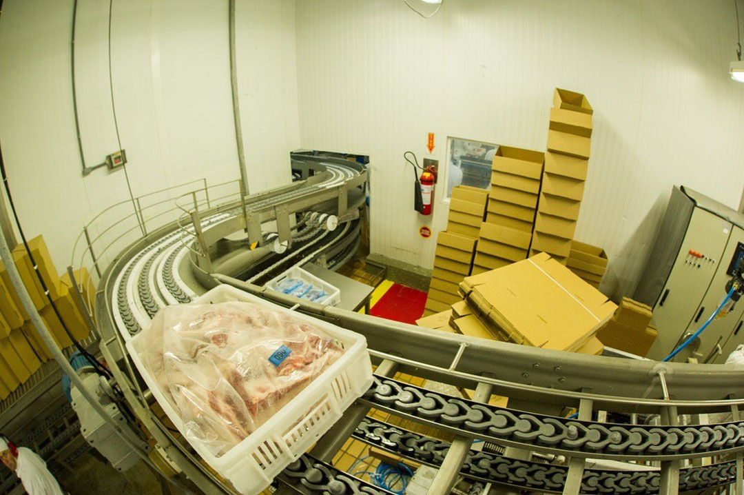 Pork cuts on a conveyor belt, ready to be transported. - Photo: Manoel Petry, ABPA