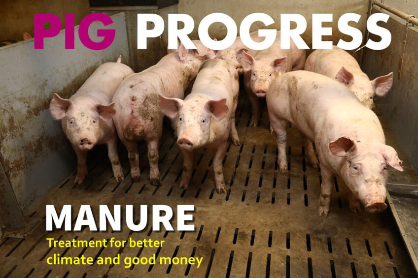 Faeces, free farrowing and future prospects in Pig Progress 1