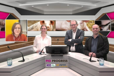 The line-up of the webinar on Pathogens & Prevention, with from left to right Dr Nele Caekebeke, BioCheck.UGent; Daisy Roijackers, Intracare; Vincent ter Beek, editor Pig Progress and Romain D’Inca, Royal Agrifirm Group. - Photo: Company Webcast
