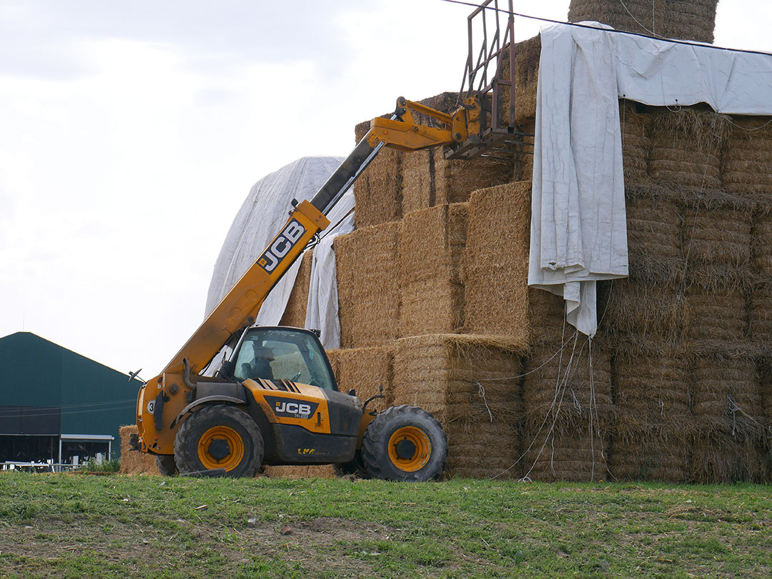 Huizinga keeps his pigs on straw and the supply is ok for now.