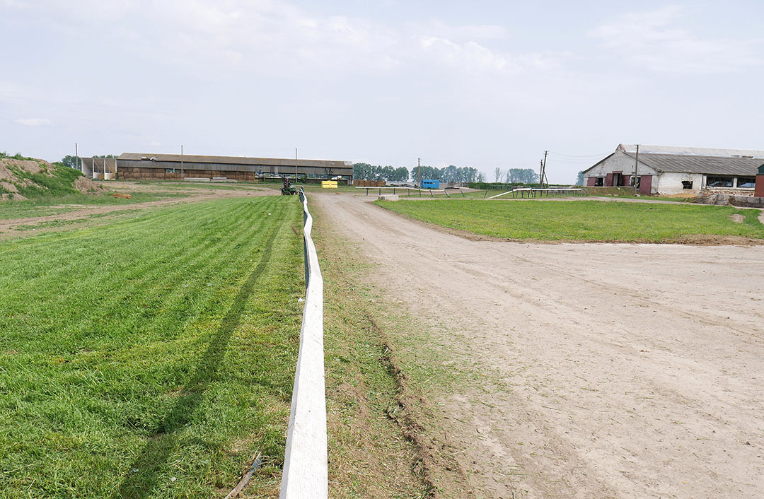 Huizinga and his partners had planned large investment on the farm this year to modernise the pig barns and expand sow numbers.