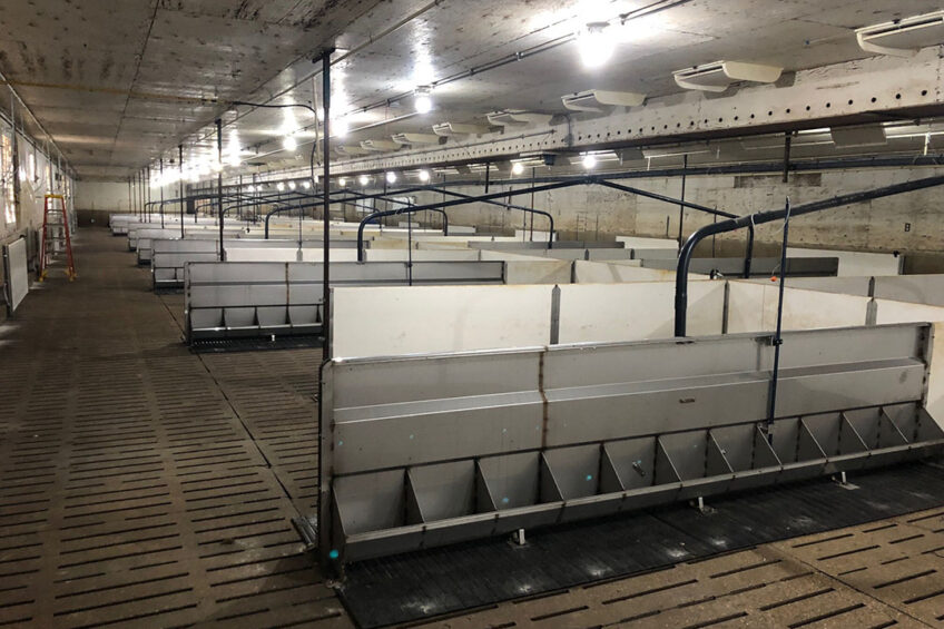 The finisher barn after the farm had been equipped with liquid feeding stations. - Photos: Préjet Farms