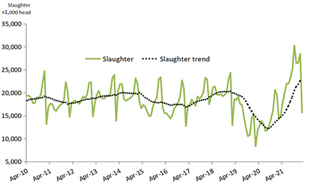 Figure 3 - Chinese hog slaughter, April 2010-February 2022.