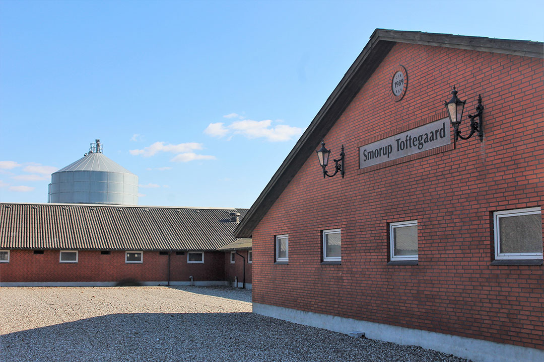 Farm Smorup Toftegaard is located near Aars in Northern Jutland, Denmark. Photo: Vincent ter Beek