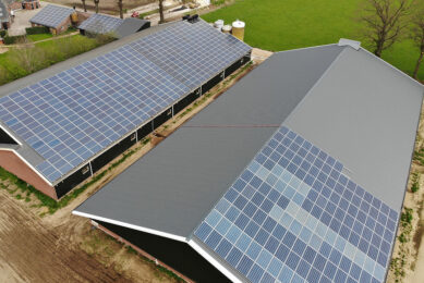 This drone picture of a pig farm shows what can be done to prepare for warmer temperatures: add solar panels on the roof. - Photo: Hans Prinsen