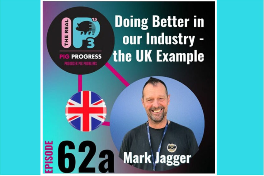 Podcast: Doing better in the pig industry, the UK example