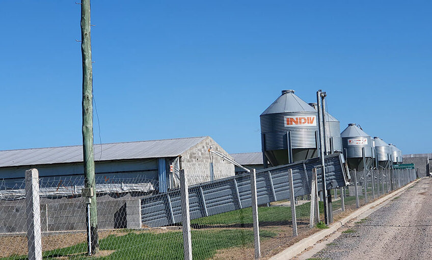 The Good Pig farm buildings, operational since 2017. - Photos: Janneke Janssens