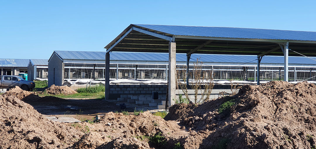 Expansion to a closed farm with 1,300 sows is in full swing.