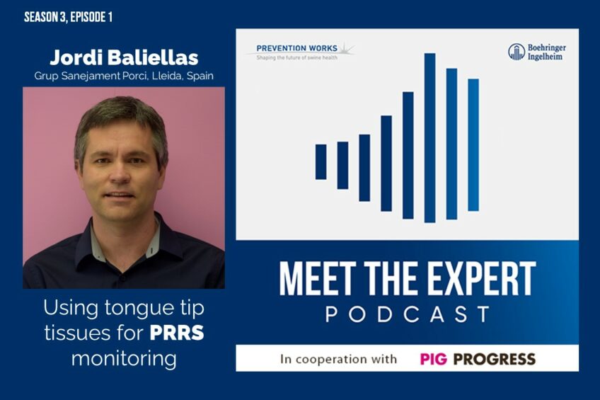 Podcast: Jordi Baliellas on using tongue tip tissues for PRRS monitoring